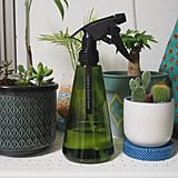 お部屋のアクセントに!ダイソーのカラーボトル10選