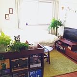 居心地良すぎ♪小さなお部屋のゾーニングアイデア10選