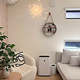 収納もディスプレイも欲しかったが叶う！ニトリのウォールシェルフ活用アイディア