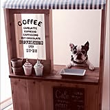 子ども用だけど本格的！ままごとセットDIY
