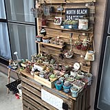 1台2役でベランダをセンスUP！-mai-さんの室外機カバー兼多肉植物棚