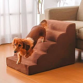 犬用インテリア・犬用家具