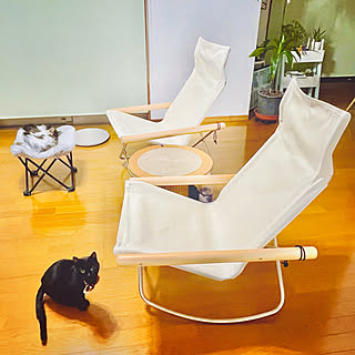 リラックスできて折りたためる！ニーチェアエックスのある暮らし