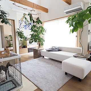 愛用者多数！一度は試してみてほしい無印良品の実力派アイテム10選