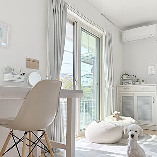 「日々への愛おしさが増す、陽だまりのような白い家」 by tintinさん