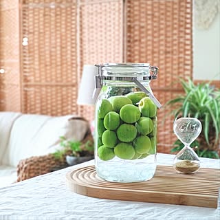 こんなものまで作れちゃう♪美味しいを楽しむ、みんなの「梅仕事」