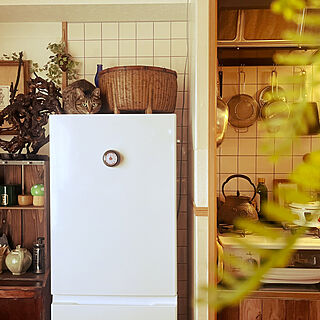 【一人暮らしやカップル必見】インテリアに溶け込む、シンプル&スタイリッシュな冷蔵庫のススメ