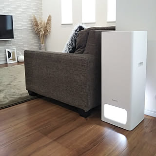 【みんなが選んだ！】インテリアになじむから◎見た目のいい空気清浄機3選