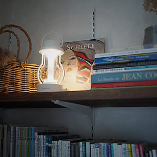 【みんなの口コミ拝見！】BALMUDAの人気ライト「The Lantern」