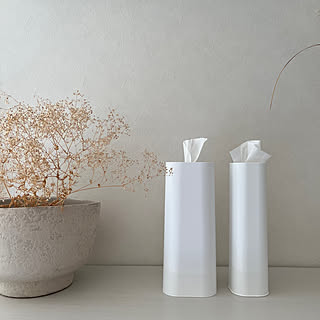 このお値段は欲しくなる！ワンコインで買えるニトリの技ありアイテム