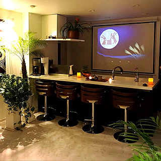 趣味を満喫して暮らしにゆとりを。映画・ドラマ鑑賞が楽しめるおうち