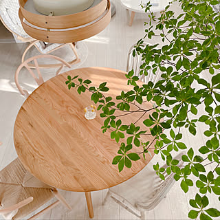 「優しい気持ちになれる、オークのラウンドテーブル」 by cocoaさん