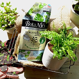 【無料モニター】おうちの植物に♪「BotaNice土にまくだけ虫退治」で快適グリーンライフを楽しみたい方大募集!
