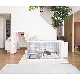 【無料モニター】愛犬のトイレのしつけができる♪インテリアになじむドッグルームサークルを使ってみたい方、大募集!