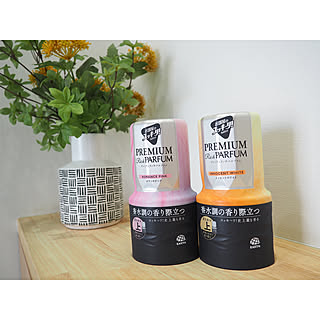 【無料モニター】香水調の香りでお部屋を贅沢な空間に♪芳香剤「お部屋のスッキーリ！」を使ってみたい方、大募集！