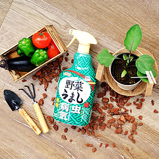 【無料モニター】おいしい野菜を育てよう♪家庭菜園の厄介な虫・病気に効果的な「野菜うまし」のモニター大募集！