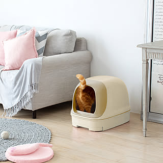 【無料モニター】猫ちゃんの大きさやインテリアに合わせて選べる♪「ニャンとも清潔トイレ」のモニター大募集！