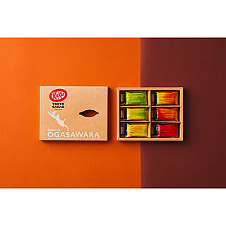 【無料モニター】自分へのごほうびに。国産カカオ豆使用の「キットカット ミニ 東京カカオ」を70名様にプレゼント！