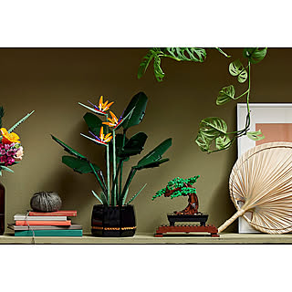 【無料モニター】レゴ ボタニカルコレクション、新登場！「大人レゴ」の世界を体験してみたい方、大募集！