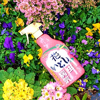 【無料モニター】きれいに咲かせたい人へ♪病気や虫から大切なお花を守ってくれる「花いとし」のモニター、大募集！