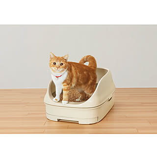 【無料モニター】猫ちゃん想い設計♪インテリアになじむカラーの「ニャンとも清潔トイレ」を最大100名様にプレゼント!