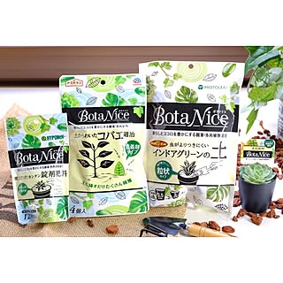 【無料モニター】ガーデニング初心者でもグリーンがすくすく育つ!BotaNiceセットを50名様にプレゼント!