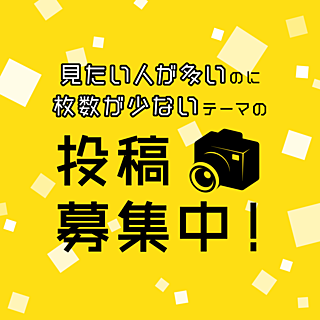 お助け！おうち撮影クエスト みんなが検索しているモノ編