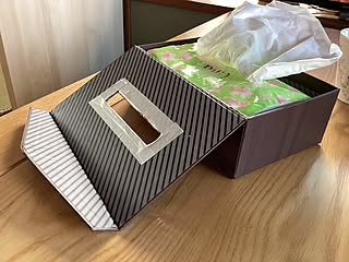 「小物入れの箱がぴったり！工作感覚でつくる、エコサイズ用ティッシュケース」 by richanさん