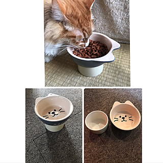 「猫ちゃんも喜ぶ♪器を貼り合わせるだけでできる、ペット用フードボール」 by okadajapanさん