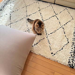 「ふんわりボリューミーで、居心地のいいベニワレン風ラグ」 by yuri.sさん