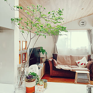 【写真でルームツアー】光と風を感じる2階リビングのある暮らし。nahonさんのお家をご紹介！