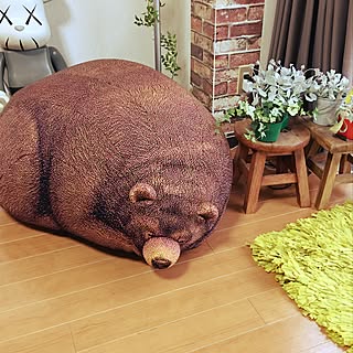お部屋はまるで動物園?アニマルモチーフのインテリア