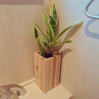 「100均木材を貼り合わせるだけでつくれる、簡単植木鉢カバー」 by sakura_3さん