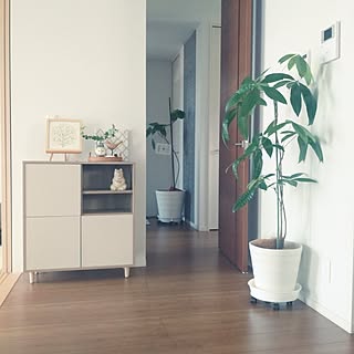 「家族の個性も大切に、『見せる』と『隠す』を使いこなす収納づくり」 by tan5さん