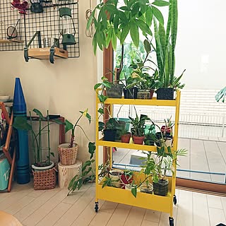 見た目と機能に大満足!使い勝手の良いIKEAのワゴン ニッサフォース