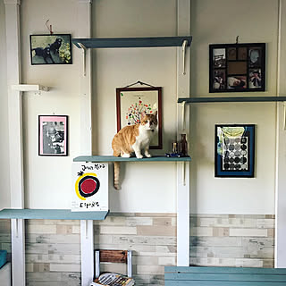 愛情をたっぷりこめて作りたい♡大切な家族「ペット」にまつわるDIY実例