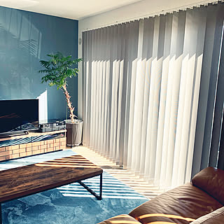 日差しや視線のカットに使える♪「カーテン代用品」におすすめのアイテム