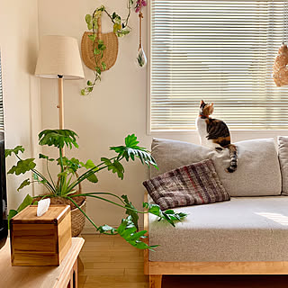 豊富な種類でお部屋に彩りを!ニトリで見つけるフロアランプ