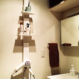 1本使いでもこんなに便利☆ディアウォールとLABRICO活用術