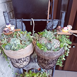 「seriaアイテムだけでつくる、ハンギング寄せ植えポット」 by mocomocoさん