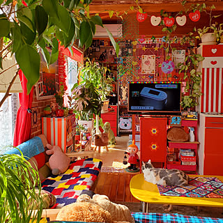 元気をチャージ♪ 好きなのはカラフルで明るいわたしらしい空間