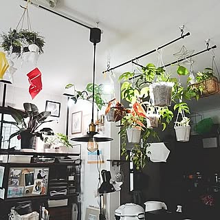 床に置かなくてもグリーンを飾れる！吊るして彩る、ハンギングプランターのある暮らし