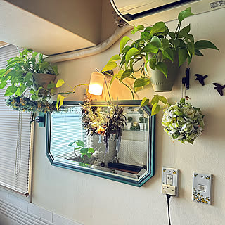 センスよく暮らしを映す。身だしなみチェックも空間演出も叶う、ミラーの効果的な置き方6選