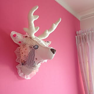 どんなお部屋にもマッチする!壁にアニマルトロフィーを飾ろう