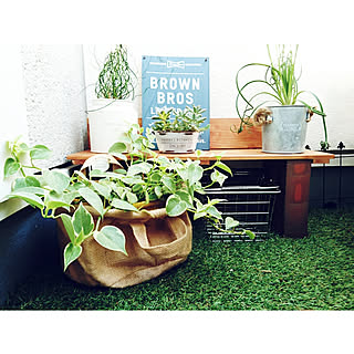 クールだけどあたたかみもある♪セリアの麻のアイテムでできること