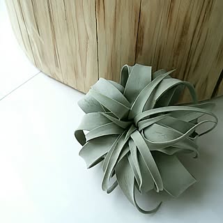 フェイクグリーンやスイーツが作れちゃう!人気の粘土DIY