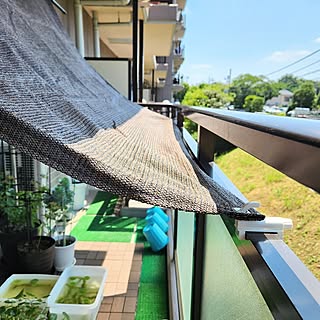 穴開け不要で収納スペースができた!鴨居フックの活用アイディア6選
