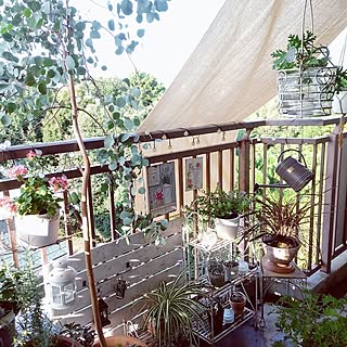 100均のこれ、便利です！ベランダを快適にする高コスパアイテム