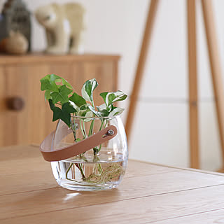 【みんなの口コミ拝見！】人気の北欧フラワーベース「Design With Light ポット」