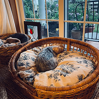 気持ちよく過ごさせてあげたいから♪ペットのためのくつろぎスペース